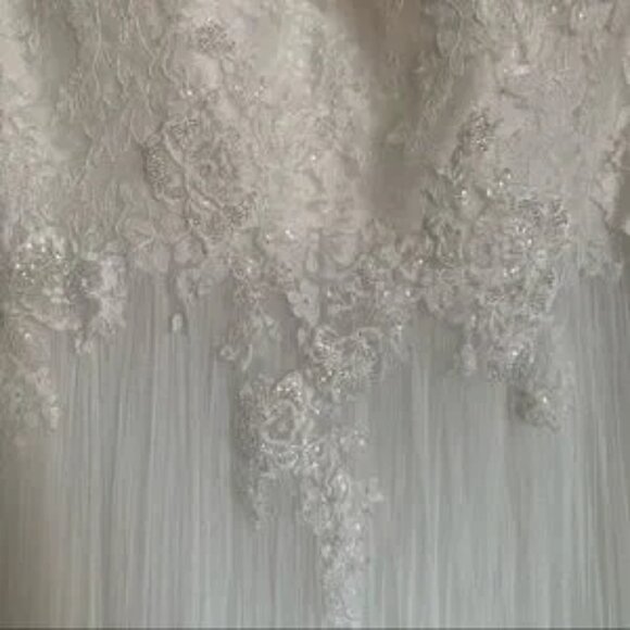 Pronovias Draconia Wedding Dress - Picture 6 of 13